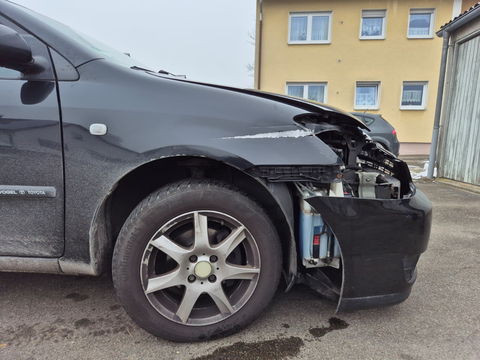 Front & Kotflügel